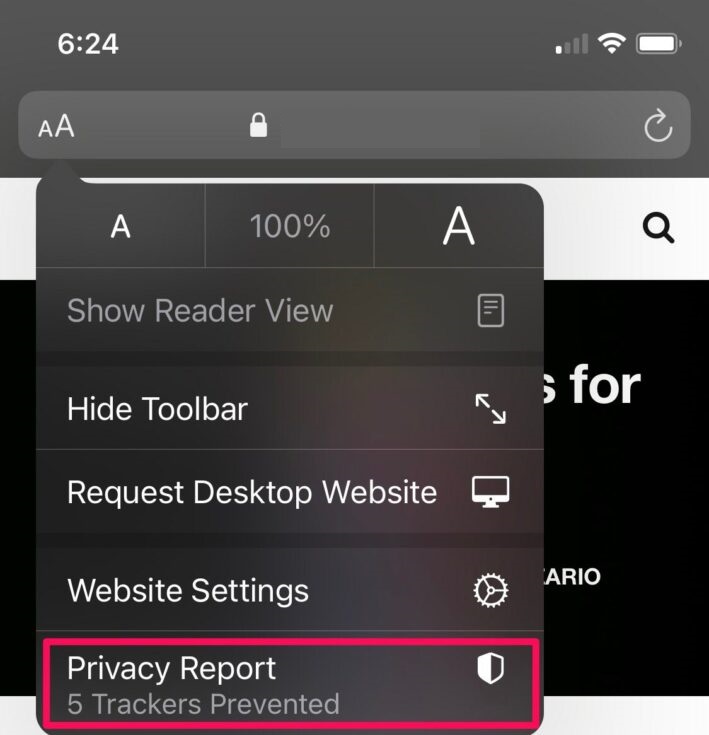 Safari browser menu on iPhone highlighting the Privacy Report option showing five trackers prevented